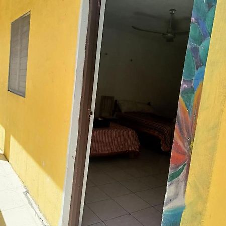 Tucan Playa del Carmen Eksteriør bilde
