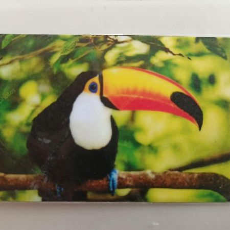 Tucan Playa del Carmen Eksteriør bilde