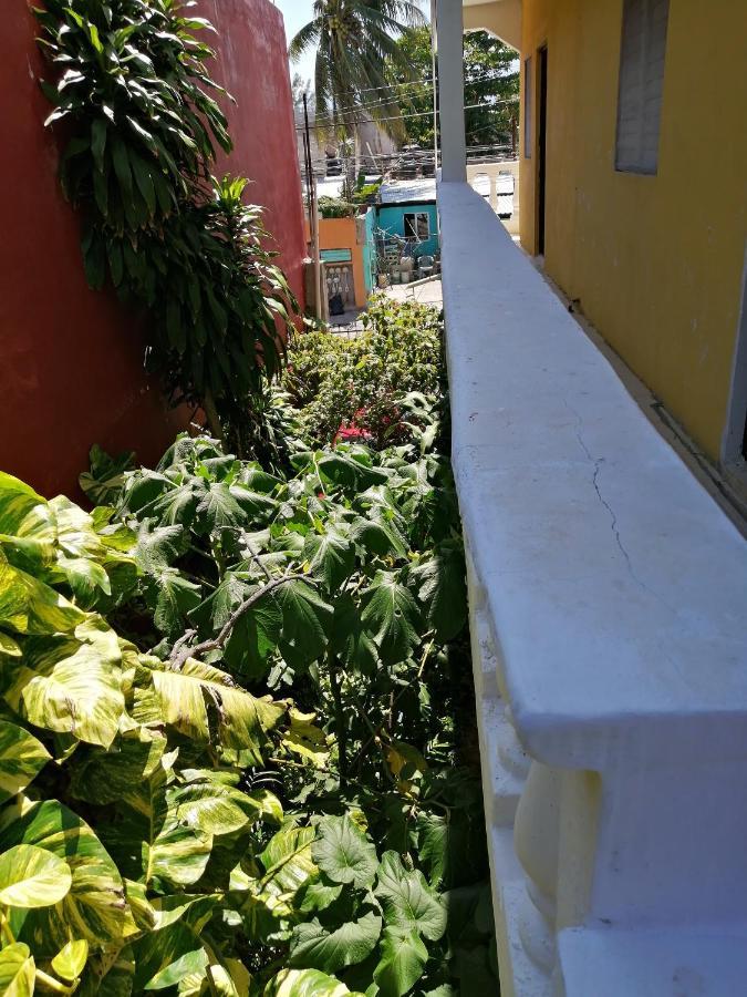 Tucan Playa del Carmen Eksteriør bilde