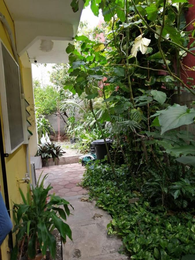 Tucan Playa del Carmen Eksteriør bilde