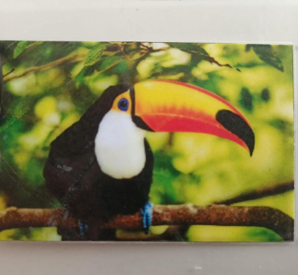 Tucan Playa del Carmen Eksteriør bilde